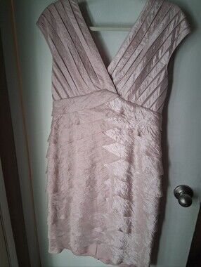 Elegant Adrianna Papell Shimmery Pink Sleeveless Dress
